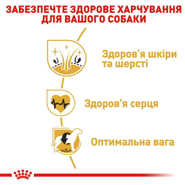 Royal Canin Golden Retriever Adult Сухий корм для собак породи Голден ретривер — додаткове фото 2