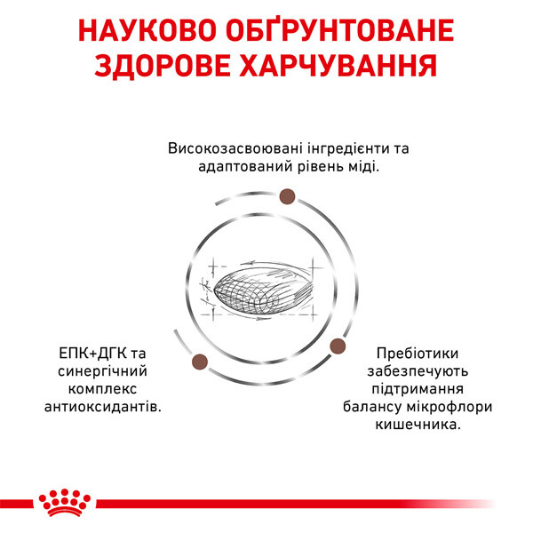 Royal Canin Hepatic Сухий дієтичний корм для собак із захворюванням печінки — додаткове фото 2