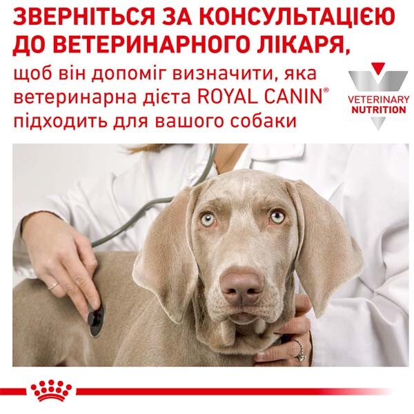 Royal Canin Anallergenic Сухий дієтичний корм для собак при небажаній реакції на корм — додаткове фото 4