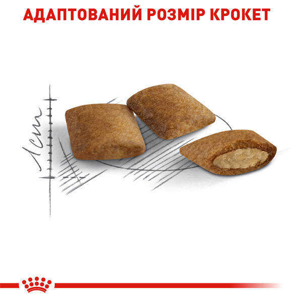 Royal Canin Ageing 12+ Сухий корм для котів похилого віку — фото 4