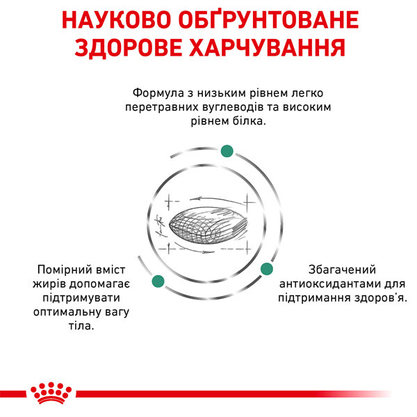 Royal Canin Diabetic Сухий дієтичний корм для котів з цукровим діабетом — додаткове фото 3