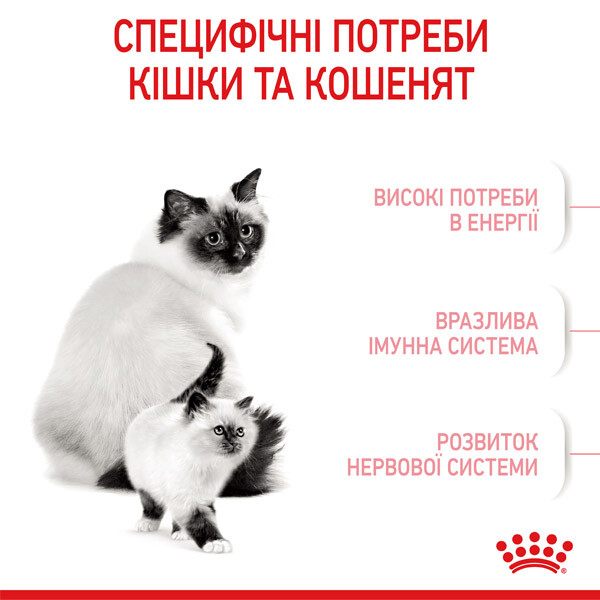 Royal Canin Mother & Babycat Сухий корм для кошенят та вагітних кішок — додаткове фото 3
