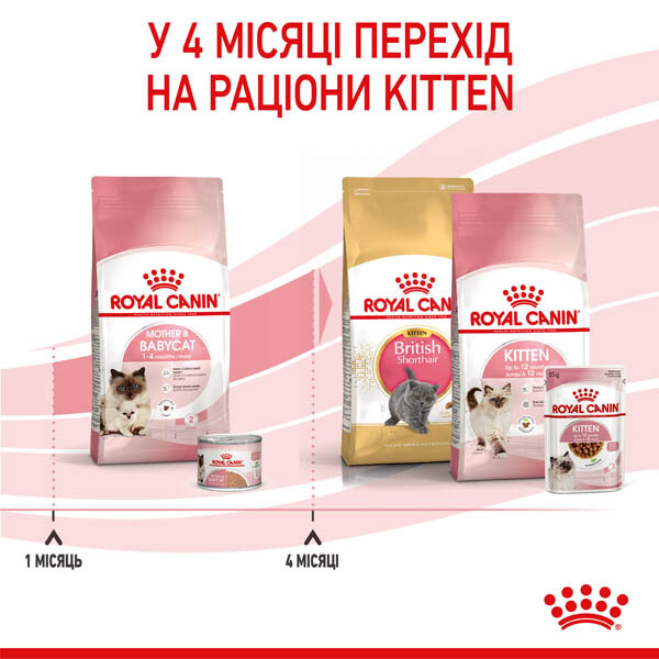 Royal Canin Mother & Babycat Сухий корм для кошенят та вагітних кішок — додаткове фото 5