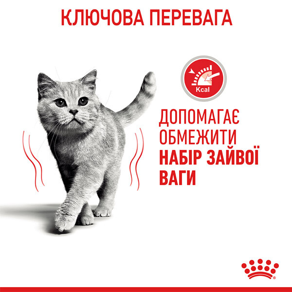 Вологий корм Royal Canin Light Weight Care для котів для обмеження набору ваги — додаткове фото 2