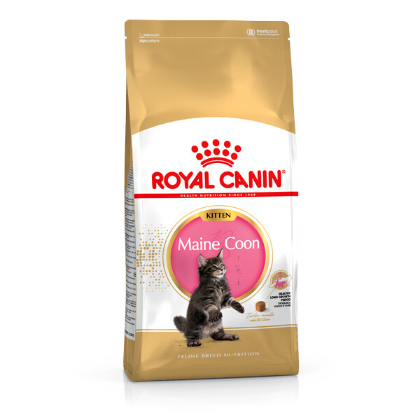 Сухий корм Royal Canin Maine Coon для кошенят породи Мейн-кун