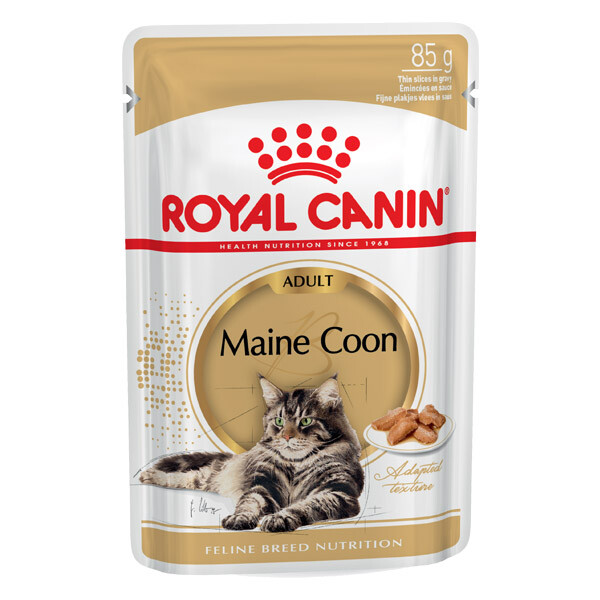 Вологий корм Royal Canin Maine Coon для котів породи Мейн-кун