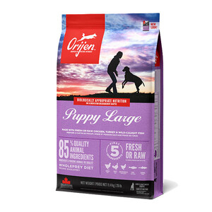 Сухий корм Orijen Puppy Large Breed для цуценят великих порід
