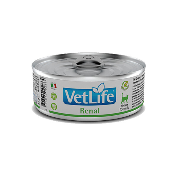 купити корм Farmina з доставкою  85 г 