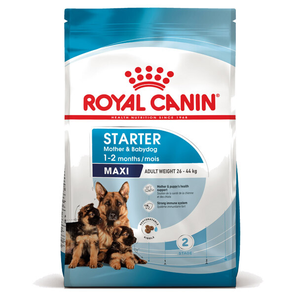 Royal Canin Maxi Starter Mother & Babydog Сухий корм для цуценят великих порід та вагітних собак 4 кг
