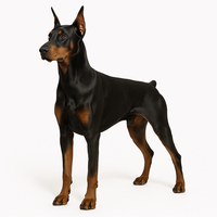 Доберман Доберман