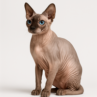 Сфінкс Сфінкс